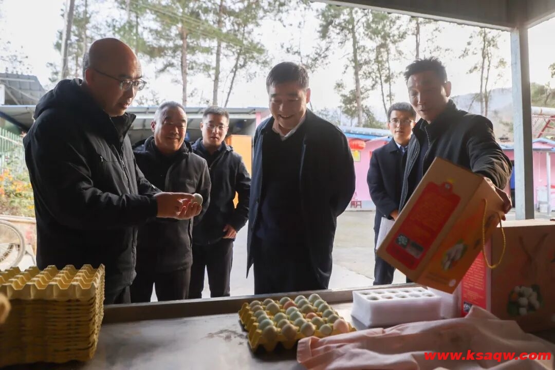 QQ20251218-110540 QQ20251218-110540