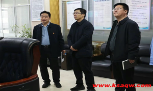 新华区人民政府副区长王飞一行到四矿调研指导工作