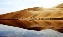 梅方义 摄影——《大漠风光》