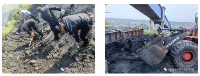 高阳煤矿：推进矸石山治理 共建绿色矿山