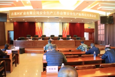古莲河矿业有限公司召开安全生产工作会暨安全生产标准化培训会议
