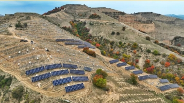 新能源公司高桥镇200MW农光互补光伏项目太阳能光伏板铺设工作全面展开