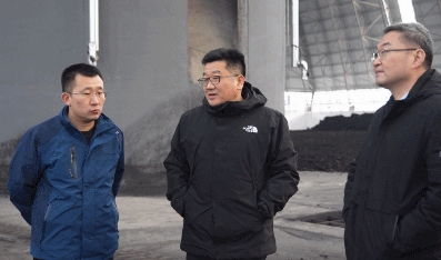 王忠刚到泰惠园区调研指导工作