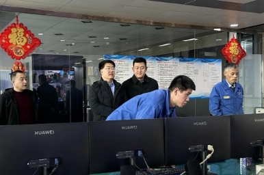 魏向华到高阳煤矿督导检查复工复产工作