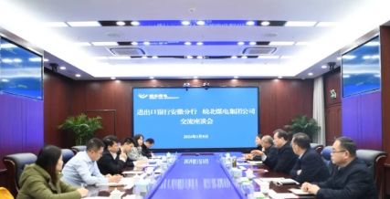 杨林会见进出口银行安徽省分行客人