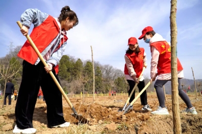 黄陵矿业一号煤矿：植此青绿，绘浓矿山生态底色