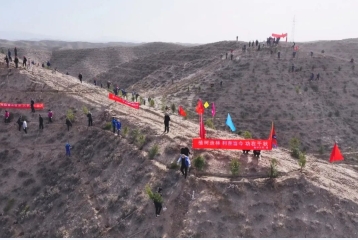 公司开展义务植树活动