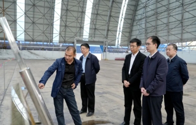 肥城市领导到鲁西储配煤基地调研