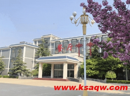 山东能源肥矿集团发展服务中心：抢抓机遇齐头并进实现开局好