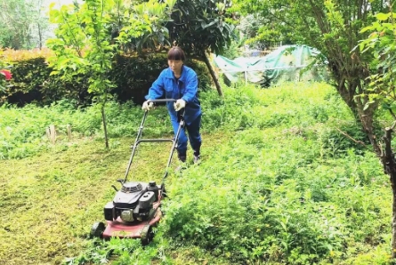 平煤股份四矿服务三队开展“绿化除草环境治理”活动