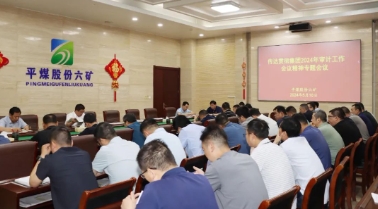 迅速召开传达贯彻集团2024年审计工作会议精神专题会议