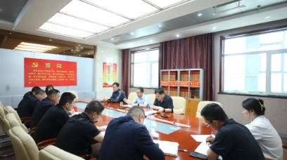 泰山隆安煤业有限公司组织召开煤炭产业洗选运输销售领域专项整治暨基建工程领域招投标突出问题专项整治会议