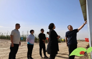 风水梁镇党委书记王艳玲一行深入点石沟煤矿调研督导绿色矿山建设工作
