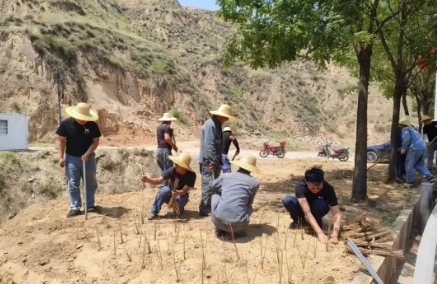 泰山隆安煤业对运煤路线周边河道环境“散乱污”进行整治