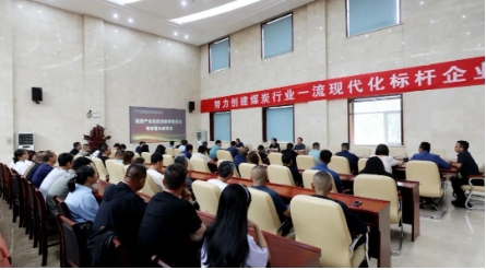 泰山隆安煤业组织召开煤炭产业洗选运输销售领域专项警示教育会议