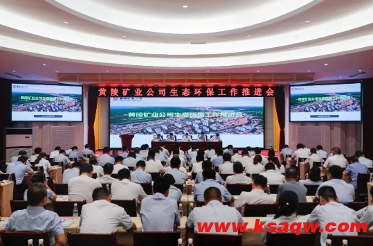 微信截图_20240725113443