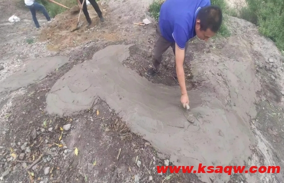 微信截图_20240802103356