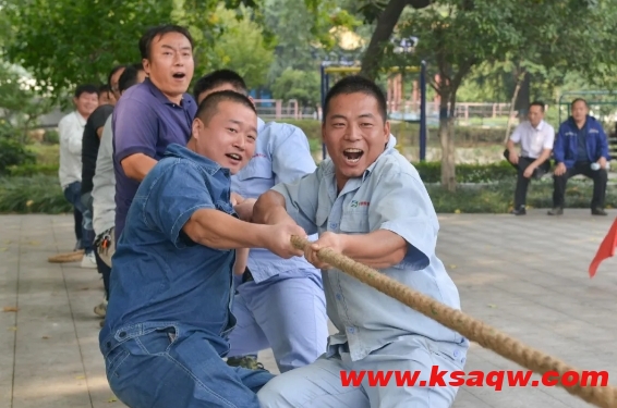 微信截图_20240929085006