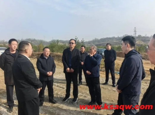 微信截图_20241115104010