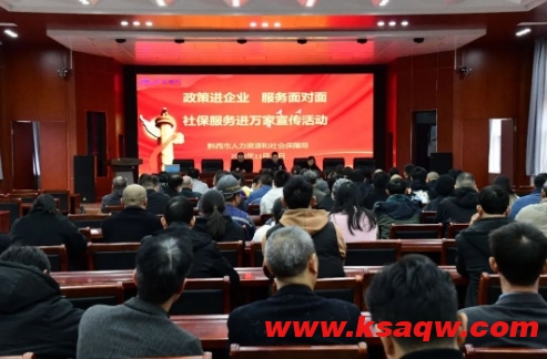 微信截图_20241121102626