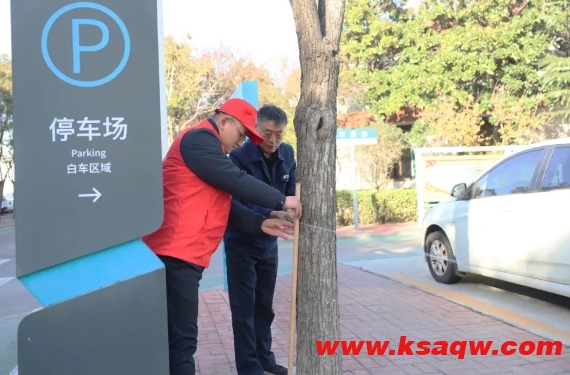 微信截图_20241128085449