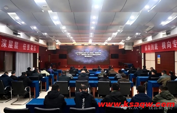 微信截图_20241129113141