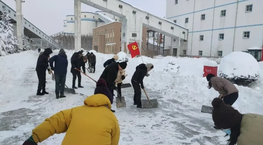 微信截图_20241204104233