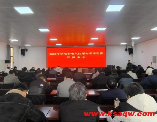微信截图_20250115091917