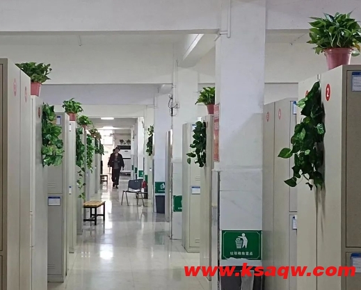 微信截图_20250124152815
