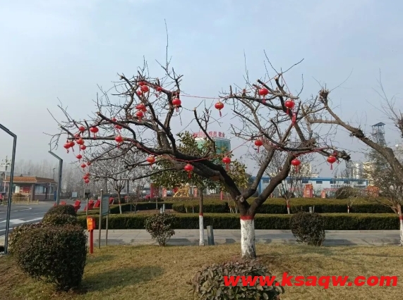 微信截图_20250124155959