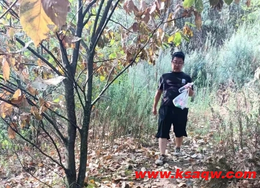 微信截图_20250427105439